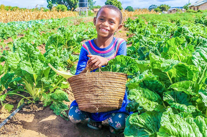 A child is holding a basket of nutritious vegetables. (Kenya, 2022)